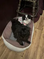 processed/72a38c03-5aa3-41eb-99d2-9aaae4a703c6/listing/8e2edda1-cea8-4a0e-b39c-c34b163a413e/586dfe3e-5757-47db-803a-ea33839bc572