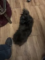 processed/72a38c03-5aa3-41eb-99d2-9aaae4a703c6/listing/8e2edda1-cea8-4a0e-b39c-c34b163a413e/77c13998-5c1d-44c6-a627-e05b13287538