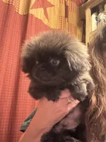 processed/72a38c03-5aa3-41eb-99d2-9aaae4a703c6/listing/8e2edda1-cea8-4a0e-b39c-c34b163a413e/7dfc3c3d-4212-4063-acc5-b944439c2be4