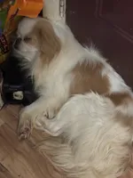 processed/72a38c03-5aa3-41eb-99d2-9aaae4a703c6/listing/aadeaf94-c016-4e68-9fc2-c68271c35558/c29ede32-9588-4197-b82b-70cc058cfa19