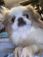 processed/72a38c03-5aa3-41eb-99d2-9aaae4a703c6/listing/aadeaf94-c016-4e68-9fc2-c68271c35558/cb68d66f-37f5-45df-8690-e5735b066425