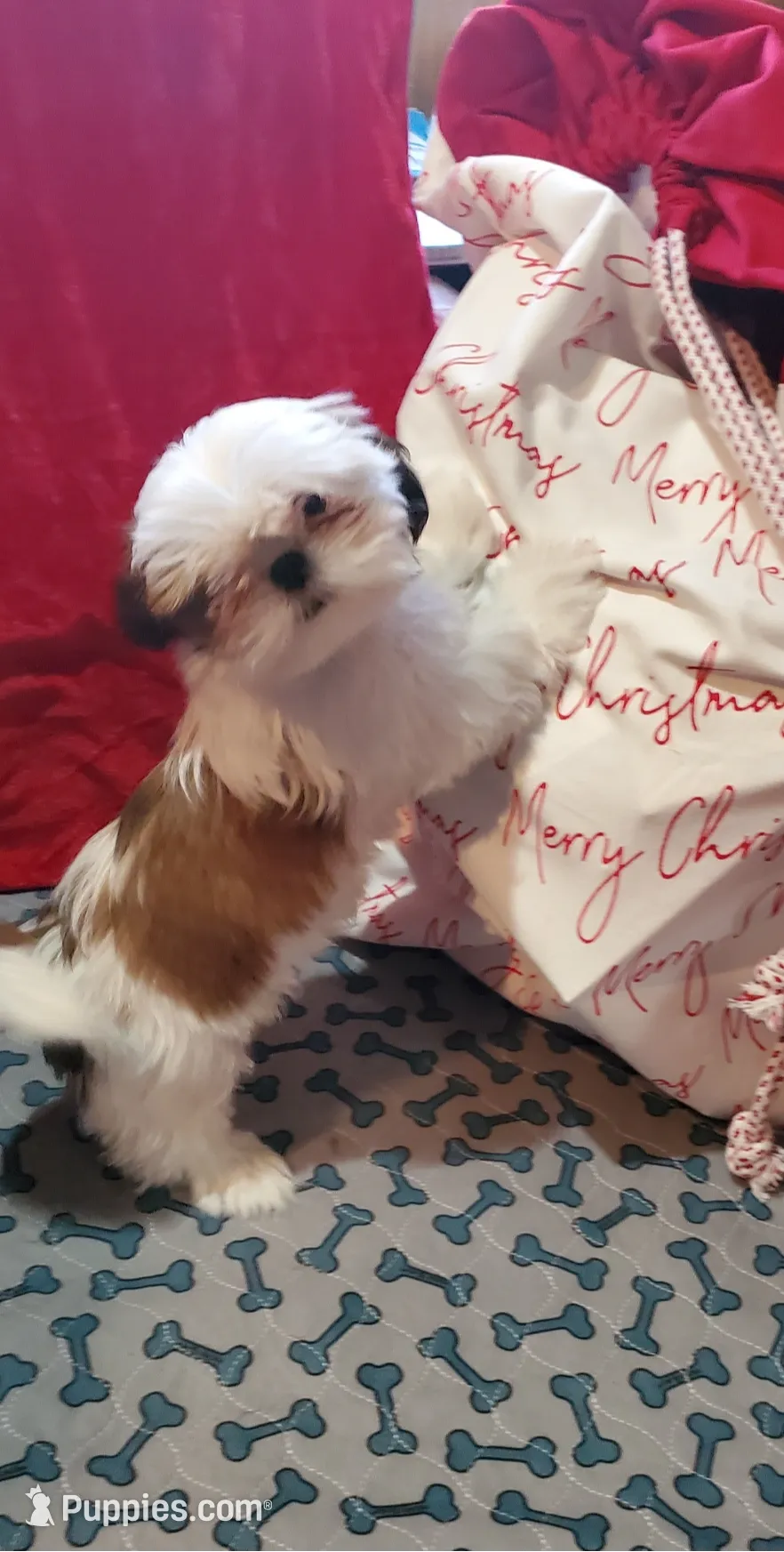 processed/72a94647-1e66-491a-bdaf-8545a35f9511/listing/d7732bc1-9f48-4e0e-8b87-f0511e4f31d4/050675fc-4de5-4805-809a-761383c7c80c