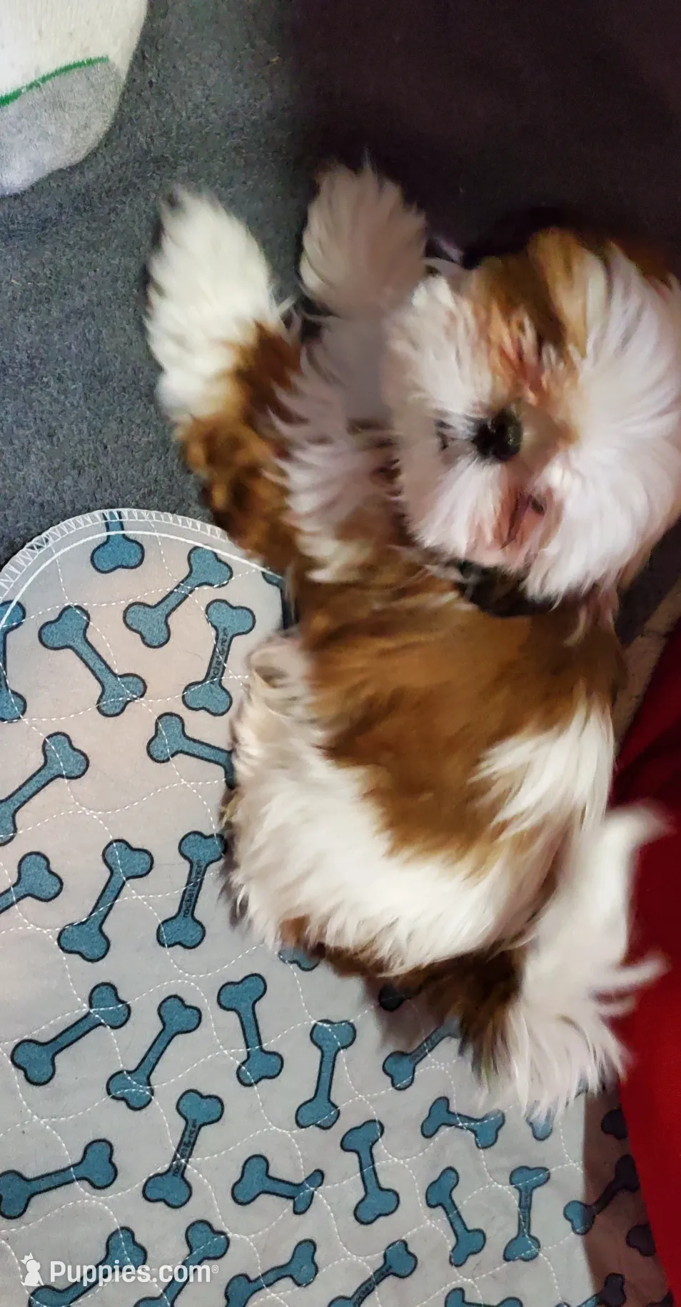 processed/72a94647-1e66-491a-bdaf-8545a35f9511/listing/d7732bc1-9f48-4e0e-8b87-f0511e4f31d4/5211c24f-e55b-4706-822b-0a69fc675292