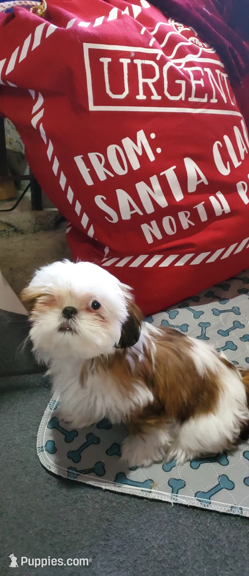 processed/72a94647-1e66-491a-bdaf-8545a35f9511/listing/d7732bc1-9f48-4e0e-8b87-f0511e4f31d4/7c00a617-bc82-4fb3-837f-7c6b060cc502