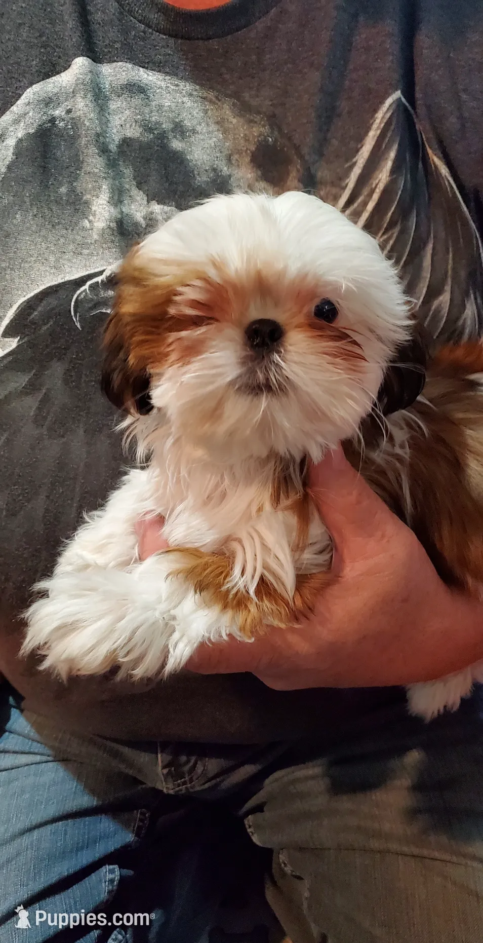 processed/72a94647-1e66-491a-bdaf-8545a35f9511/listing/d7732bc1-9f48-4e0e-8b87-f0511e4f31d4/f66fd5d9-94e4-426b-8862-ef41b05a82d5