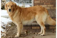 processed/72b10056-4bfa-48c3-bf9b-0332ef7f5dd6/listing/ddff77fc-7e40-4b0f-bbfc-08cabe69cd36/2d3483d3-7499-4eb9-84fc-5e1338622576