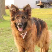 processed/72c712bc-fcd6-473a-8cfd-063632f965e9/facility/56ef3598-6c14-4fd2-8d2d-a175992cd87a