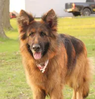 processed/72c712bc-fcd6-473a-8cfd-063632f965e9/facility/56ef3598-6c14-4fd2-8d2d-a175992cd87a