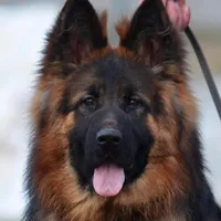 processed/72c712bc-fcd6-473a-8cfd-063632f965e9/facility/5f641cfc-2ee0-491b-87fd-bc2a59891de2