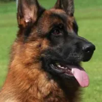 processed/72c712bc-fcd6-473a-8cfd-063632f965e9/facility/8825c824-bc9f-468d-89e1-a1e682d7a72b