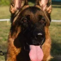 processed/72c712bc-fcd6-473a-8cfd-063632f965e9/facility/8b18990e-0ebd-446d-9f30-65fb932865c8