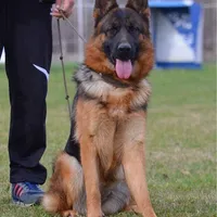 processed/72c712bc-fcd6-473a-8cfd-063632f965e9/facility/ae0c9f32-4023-4e30-bead-d7236b70960f