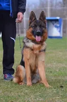 processed/72c712bc-fcd6-473a-8cfd-063632f965e9/facility/ae0c9f32-4023-4e30-bead-d7236b70960f