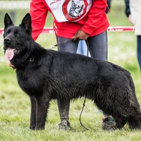 processed/72c712bc-fcd6-473a-8cfd-063632f965e9/facility/af534c95-992f-4fe1-bb7f-70e0aaace4d2