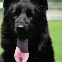 processed/72c712bc-fcd6-473a-8cfd-063632f965e9/facility/da791a2f-8c1e-4bb7-b01e-deefabe62ecd