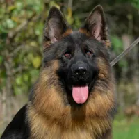 processed/72c712bc-fcd6-473a-8cfd-063632f965e9/facility/da998bb2-b606-4d9e-a0f1-2ba768075fb7