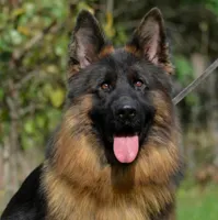 processed/72c712bc-fcd6-473a-8cfd-063632f965e9/facility/da998bb2-b606-4d9e-a0f1-2ba768075fb7