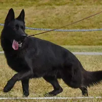 processed/72c712bc-fcd6-473a-8cfd-063632f965e9/facility/e3539f89-25b0-48f1-b379-dbb8d713679b