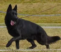 processed/72c712bc-fcd6-473a-8cfd-063632f965e9/facility/e3539f89-25b0-48f1-b379-dbb8d713679b