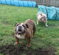 processed/72cfe6f9-2c68-4b50-9fa9-d83eae9785d3/listing/d3b96e8f-fb0d-4c50-9b93-beb1c65f2cea/26be7d0d-972b-44fd-a42f-df3c8fceb002