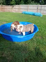 processed/72cfe6f9-2c68-4b50-9fa9-d83eae9785d3/listing/d3b96e8f-fb0d-4c50-9b93-beb1c65f2cea/74108ade-18b5-4ad8-8490-55e61be9177c