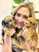 processed/72d36046-f423-45a9-b5c3-ec3ad461e9c4/facility/9685b675-9193-4638-ab70-4026494a5e7f