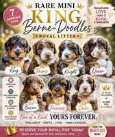 Knight, a male Cavapoo and Bernedoodle for sale in Gilbert, AZ – 3 of 8