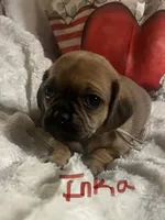 processed/72d679fe-9943-4398-9da4-6c74847fc8d8/listing/13be65bd-deda-4fcb-a1bf-9f727b0ec487/63cbba9e-c08d-41d1-b5b7-a9321643f6a0