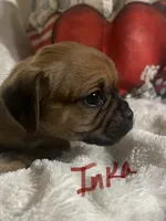 processed/72d679fe-9943-4398-9da4-6c74847fc8d8/listing/13be65bd-deda-4fcb-a1bf-9f727b0ec487/a2a321e1-14de-45c8-bde0-7b62f73c4678