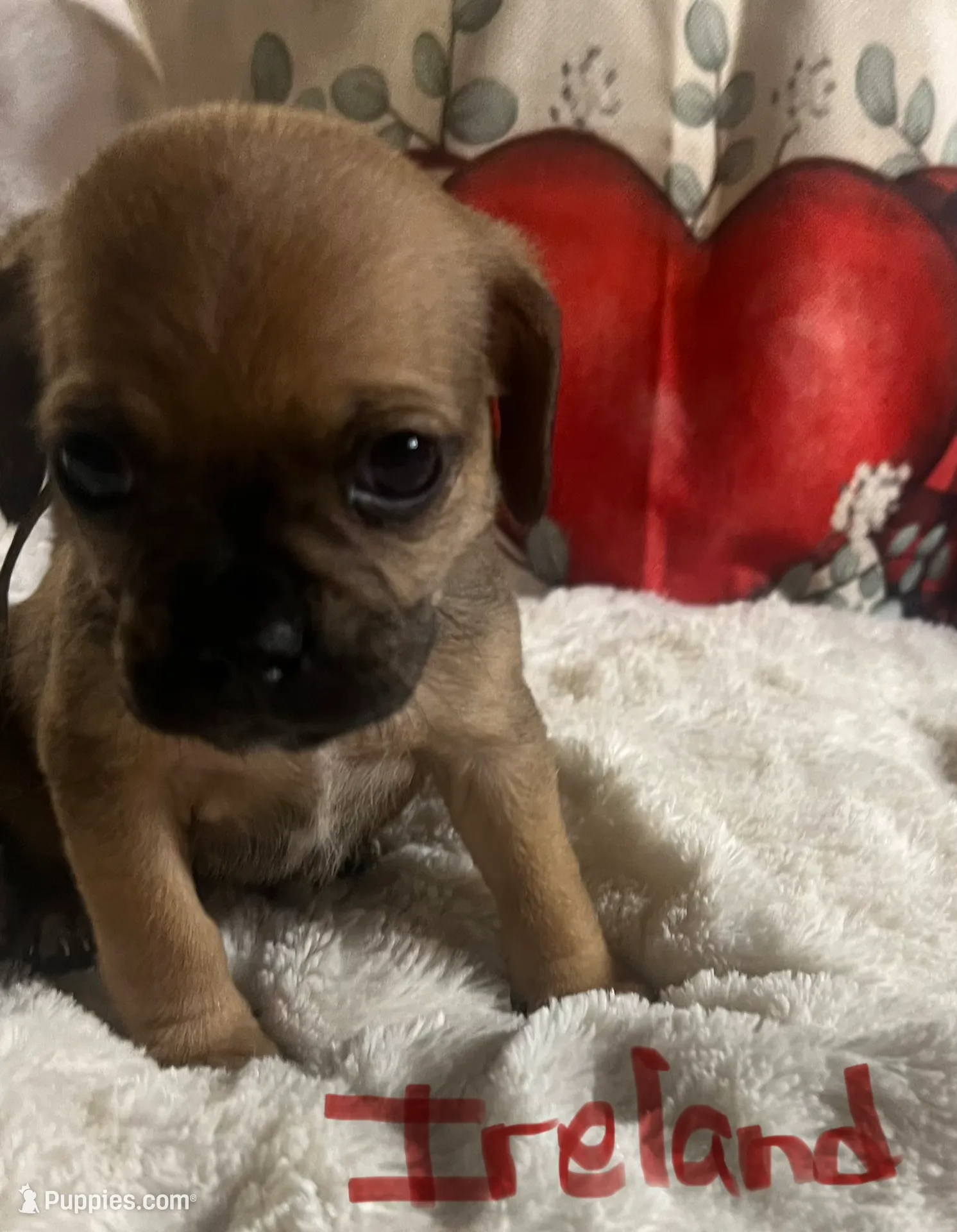 processed/72d679fe-9943-4398-9da4-6c74847fc8d8/listing/23cfd39d-587a-4b4a-a9a2-c63226c3b167/7c548787-ec87-4cf4-92ee-46e323852df8