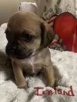 processed/72d679fe-9943-4398-9da4-6c74847fc8d8/listing/23cfd39d-587a-4b4a-a9a2-c63226c3b167/bbf3423f-fd29-4eff-8cd1-125bd024ad87