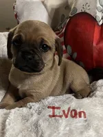 processed/72d679fe-9943-4398-9da4-6c74847fc8d8/listing/66eff9ae-1924-43d8-8e74-3082ac8eb7b8/0d014e2e-ecfb-4acb-93e4-e64c7363de2a