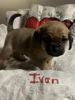 processed/72d679fe-9943-4398-9da4-6c74847fc8d8/listing/66eff9ae-1924-43d8-8e74-3082ac8eb7b8/62ea106b-0b4b-42e1-9efa-8fa359967138