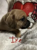 processed/72d679fe-9943-4398-9da4-6c74847fc8d8/listing/6a08644f-2eea-49e0-987d-411529e4e194/a96ee21c-2d33-431b-b12a-658ceab518f8