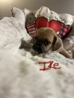 processed/72d679fe-9943-4398-9da4-6c74847fc8d8/listing/6a08644f-2eea-49e0-987d-411529e4e194/dd10f2e9-2e12-45d9-8f6d-4842867023ba