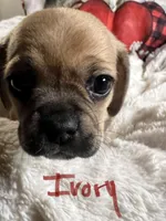 processed/72d679fe-9943-4398-9da4-6c74847fc8d8/listing/a44cdc7b-50bf-4800-921f-e5a34d480640/54e5d43e-2957-47f1-b41e-7b3fcc2c09bf