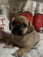 processed/72d679fe-9943-4398-9da4-6c74847fc8d8/listing/a44cdc7b-50bf-4800-921f-e5a34d480640/6b6dd72f-b524-44de-a517-8d0d424d40d8