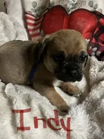 processed/72d679fe-9943-4398-9da4-6c74847fc8d8/listing/b608b786-243e-4a80-8203-d9b12d2076aa/527e33e1-df43-443a-bd4c-d679bc5c0404