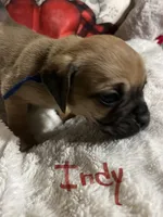 processed/72d679fe-9943-4398-9da4-6c74847fc8d8/listing/b608b786-243e-4a80-8203-d9b12d2076aa/d6d7523c-fe94-421c-b4a0-15deaf7341a8