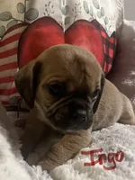 processed/72d679fe-9943-4398-9da4-6c74847fc8d8/listing/dc72a8bd-9095-42c8-843b-8d944effb23c/19bbd659-e189-450b-8104-cb750deeb232