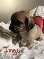 processed/72d679fe-9943-4398-9da4-6c74847fc8d8/listing/dc72a8bd-9095-42c8-843b-8d944effb23c/2d83bcf8-435e-4f90-8837-6a9e5a58b45a