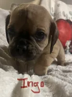 processed/72d679fe-9943-4398-9da4-6c74847fc8d8/listing/dc72a8bd-9095-42c8-843b-8d944effb23c/dce8929d-f782-4302-98fe-1700413a4775