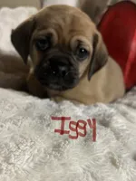 processed/72d679fe-9943-4398-9da4-6c74847fc8d8/listing/f8920c54-1488-40e1-badf-a75683bd34b0/1d698a22-db70-4f05-84d7-805d095eca57