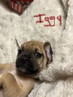 processed/72d679fe-9943-4398-9da4-6c74847fc8d8/listing/f8920c54-1488-40e1-badf-a75683bd34b0/e1300494-4995-42b6-a6c2-75a3e777476e