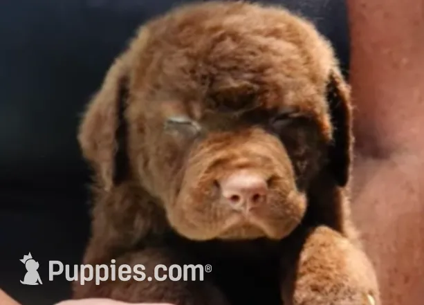 processed/72e48991-052c-4b93-8ea9-43284ac4e4fb/listing/7969569f-0743-475d-b748-c44e78c30d6e/0af5e6ff-c9c6-4a7e-b10b-de0920a8ff0c