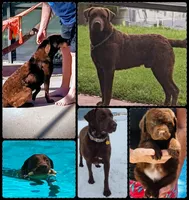 processed/72e48991-052c-4b93-8ea9-43284ac4e4fb/listing/7969569f-0743-475d-b748-c44e78c30d6e/dc0ada0c-955e-4ac2-8853-3e7628618d3d