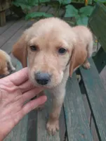 processed/72e70bbe-8135-41d2-b4a5-24ebb485b14a/listing/bd53d093-7909-429a-ab2f-f53d614219ca/4a185cd0-7c0b-4edd-83b3-6ae8a9f1f1f5