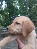 processed/72e70bbe-8135-41d2-b4a5-24ebb485b14a/listing/bd53d093-7909-429a-ab2f-f53d614219ca/e1afc7c4-09c4-4593-ab23-d8e0099d8b46