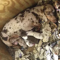 processed/72f5461e-3859-47f2-807e-e843f4c72213/facility/3a7141e2-0378-4145-a446-729618aa999b