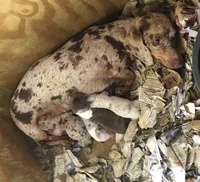 processed/72f5461e-3859-47f2-807e-e843f4c72213/facility/3a7141e2-0378-4145-a446-729618aa999b